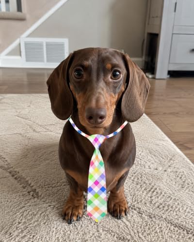 PET SHOW 10 Pack Daily Dog Ties Neckties for Medium Dogs - Image 6