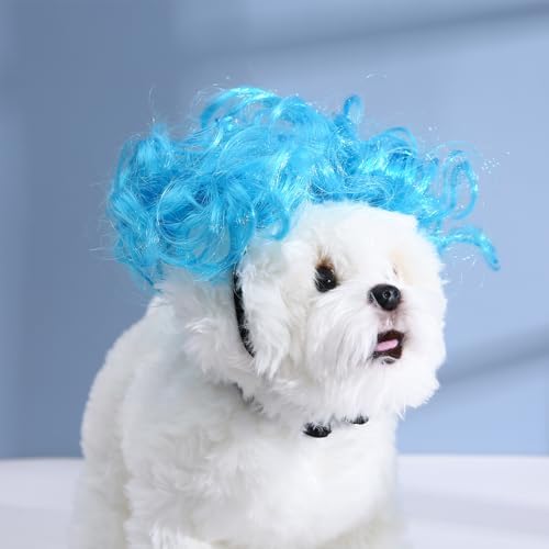 Funny Dog Cat Cosplay Wig, Headwear Apparel Toy, Pet Costumes, Cat Dress up for Halloween, Christmas, Parties, Festivals, Dog Wigs for Small Medium and Large Dogs (Explosive Blue) - Image 2