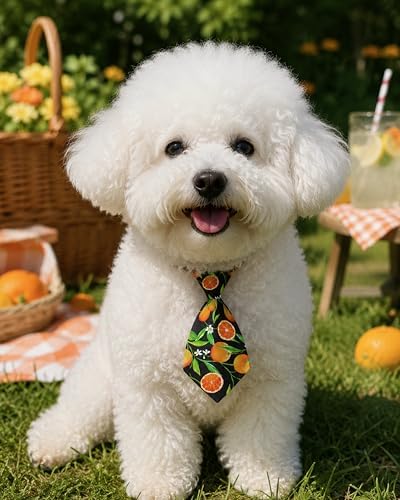 PET SHOW 10 Pack Fruit Dog Ties Neckties XS for Small Dogs - Image 6