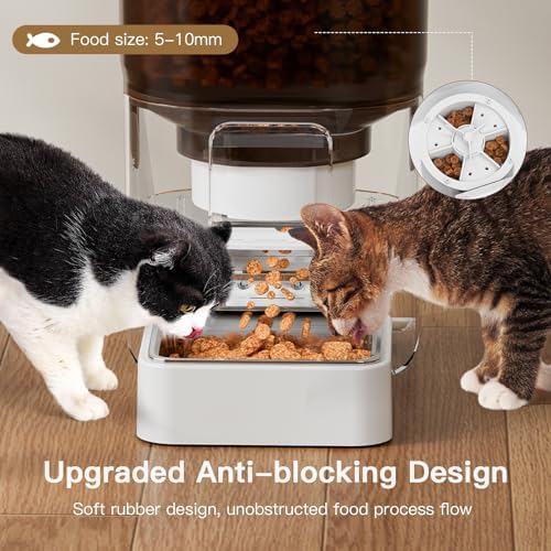 UMOMO 6L Automatic Cat Feeder with Camera, 1080P HD Camera Live Video, Night Vision 2-Way Audio, WiFi & App Remote Control, Programmable Pet Feeder, Smart Timed Dry Food Dispenser for Cat & Dog