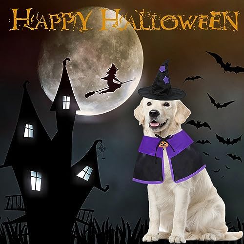 GOYOSWA Dog Halloween Costumes, Dog Witch Costume Halloween Dog Witch Cloak Cape Wizard Hat Halloween Costumes for Small Medium Large Dogs Pets (Large) - Image 6