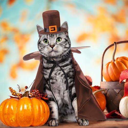 SCENEREAL Thanksgiving Dog Costume, Puppy Bandana Cloak and Hat Set with Pumpkin Maple Leaf Pattern, Funny Pet Holiday Turkey Outfits Clothes for Small Medium Dogs Boys Girls Cats - Image 7