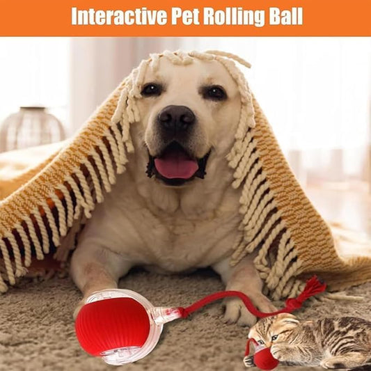 2025 New Electric Dog Ball Toy,360° Smart Automatic Interactive Rolling Dog Ball, Smart Pet Toy Ball,Interactive Toys,Gift for Kids(Yellow