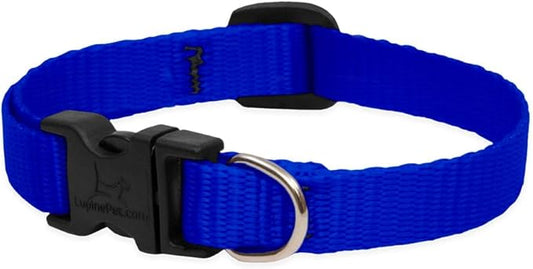 LupinePet Basics 1/2" Blue 8-12" Adjustable Collar for Small Dogs
