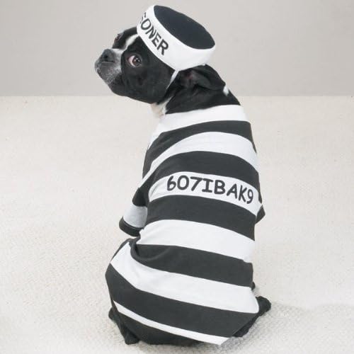 Casual Canine Prison Pooch Costume, Small - Image 2