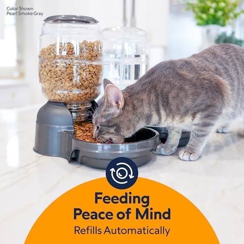 Petmate Replendish Automatic Dog Feeder, Microban Protection, 10lbs