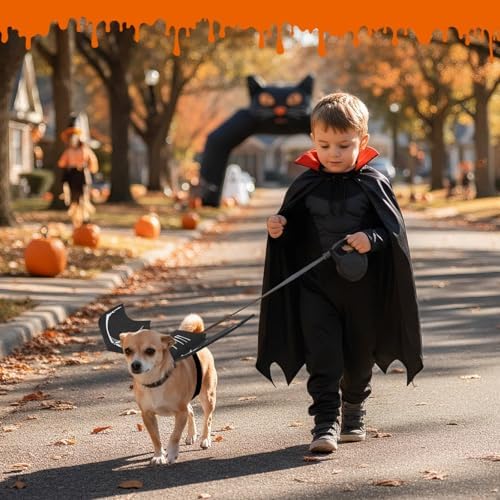 Olanrun Small Dog Halloween Costumes, Adjustable Puppy Dog Bat Wings Costumes for Small Dogs Cats with Pumpkin Bell Skeleton Print On The Back, Pet Costume Halloween Cosplay Party Dress Up, XS Black - Image 7