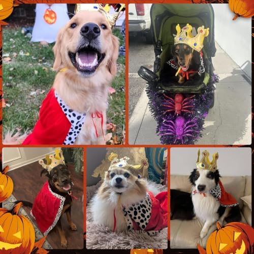 Small Dog Halloween Costumes, King Costume Crown Hat and Cape, Funny Puppy Costumes for Small Dogs with Adjustable Straps for Dachshund, French Bulldog, Teddy and Cat (S) - Image 7