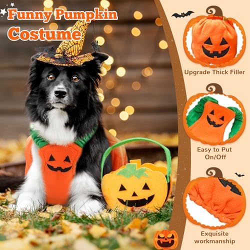 PETCARE Funny Pumpkin Dog Halloween Costume Pet Dog Cat Thick Plush Pumpkin Decoration Shirt Clothes for Small Medium Dogs Cats Puppy Cute Halloween Party Cosplay Dress Up Outfits - Image 7