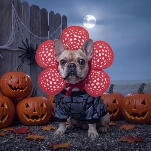 Huhumy 2 Pcs Halloween Carnivorous Flower Pet Costumes, M - Image 6
