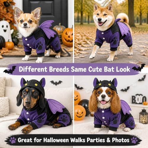 Small Dog Halloween Costume, Bat Hoodie with 3D Wings for Cats and Puppies - Image 7