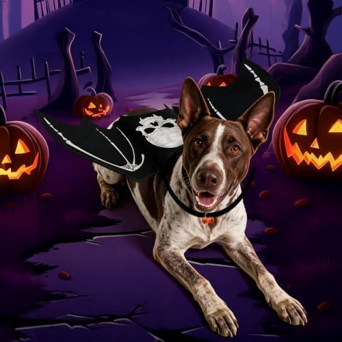 Halloween Dog bat Wing Costumes M,pet Costumes for Halloween Party - Image 7
