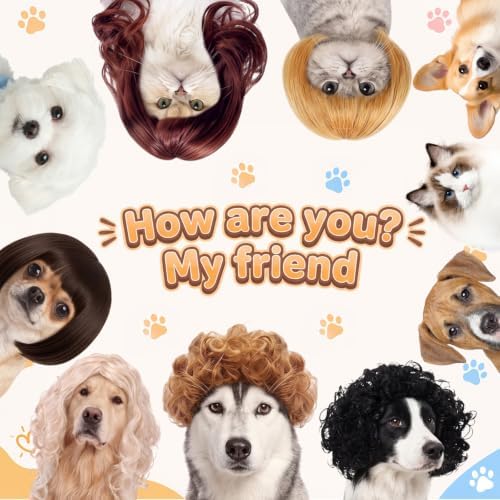 6 Pcs Funny Cat and Dog Wigs with Hairpin Glasses, Fashion - Image 6