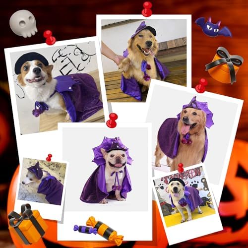 Small Dog Halloween Costumes, Dog Witch Costume Wizard Hat and Cape, Corgi Dachshund and French Bulldog Funny Cute Puppy Costumes with Adjustable Straps for Small Medium Dogs and Cat (S) - Image 7