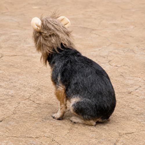 Lion Mane Pet Halloween Hood - Small to Medium-Large Breed Funny Clothes Outfit Apparel (Large) - Image 7