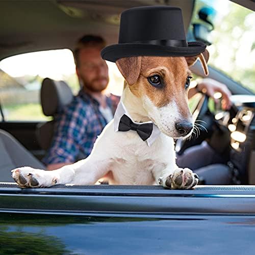 Yewong 2-Piece Pet Formal Accessories Set - Top Hat with Formal Necktie/Bowtie for Dog Cat (Bowtie Collar) - Image 6
