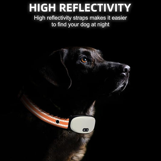Collar Replacement Strap, Reflective Replacement Nylon Collar Strap Dog GPS Training Bark Receiver Collars, Durable Adjustable E Collar Straps for Small Medium Large Dogs, Orange