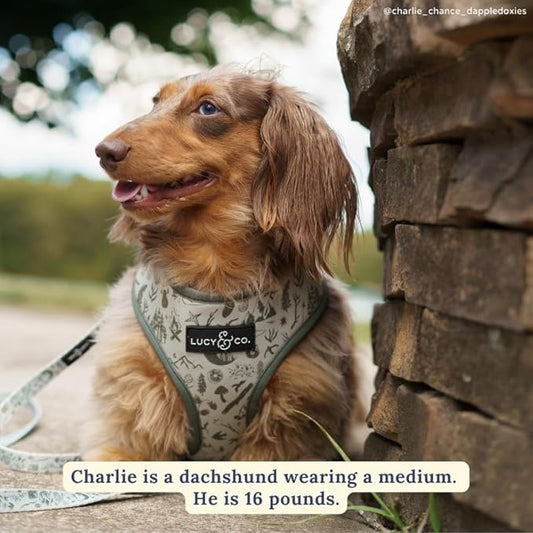 Lucy & Co. Cute Reversible Dog Harness Walking Halter - Best Designer Pet Harnesses for XS - XL Dogs - Padded Adjustable Vest for Easy Walking-XLarge-Green Outdoor Plaid