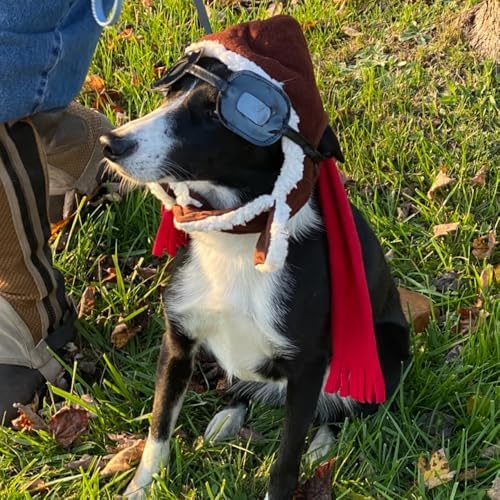 Dog Pilot Costume Dog Halloween Costume Aviator Hat with Goggles and Scar - Image 7