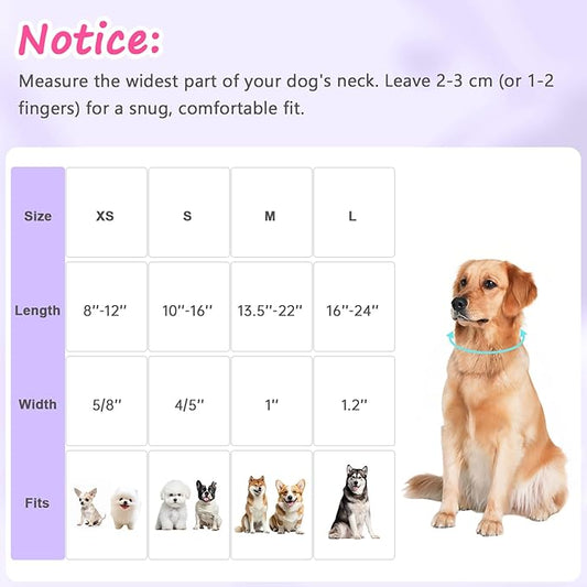 Easter Dog Collar for Small Dogs, Easter & Spring Theme Small Dog Collar with Cute Chick & Bunny Pattern, Adjustable Purple Easter Dog Collars Girl Boy Collar for Dogs -S