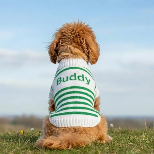 Custom Knit Sweater for Small Dogs and Cats Personalized Knit Name Classic Striped Style Soft Knit Pet Clothing Winter Holiday Idea for Pet Lover