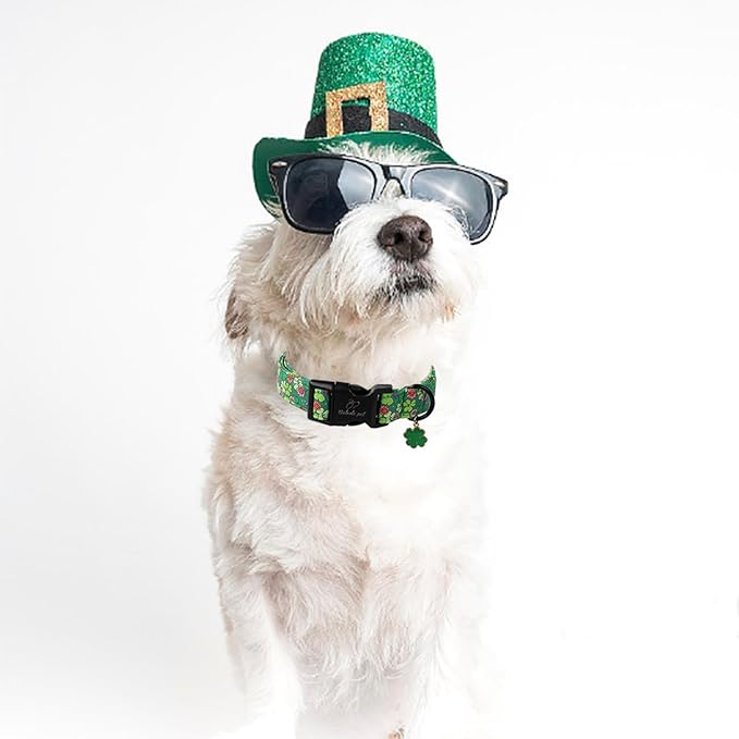 St Patricks Day Dog Collar for Small Dogs - Lucky Flower Shamrock Green Dog Collars, Cute Irish Clover Puppy Collar with Quick Release Buckle for Girls&Boys Dogs S