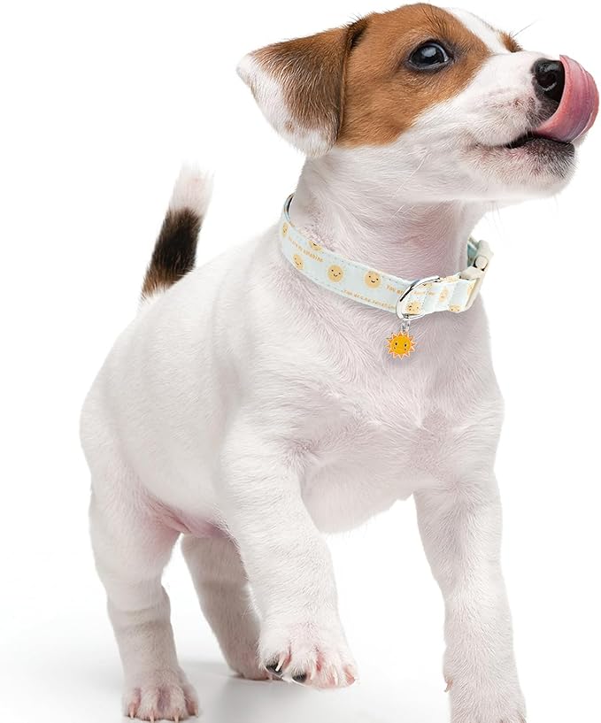 Faygarsle Sunshine Pattern Dog Collar, Adjustable Cotton Fabric, Cute Design for Small Medium Large Dogs M