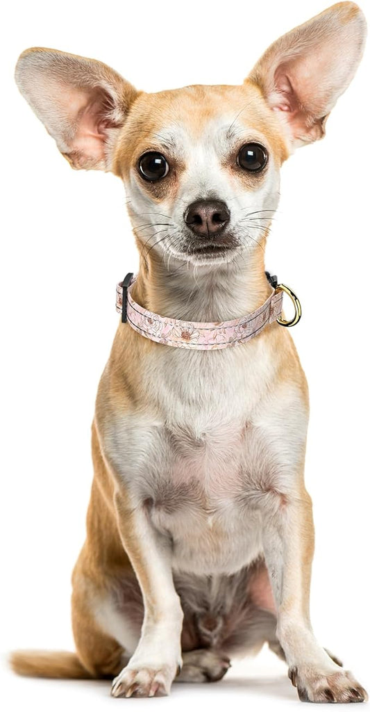 Reflective Dog Collar for Extra Small Dogs, Cute Flower Theme Adjustable Heavy-Duty Nylon Puppy Collar for Boy and Girl Female, Soft Pet Accessories with Quick Release Buckle, Neck 8-12", Pink