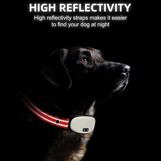 Collar Replacement Strap, Reflective Replacement Nylon Collar Strap Dog GPS Training Bark Receiver Collars, Durable Adjustable E Collar Straps for Small Medium Large Dogs, Red