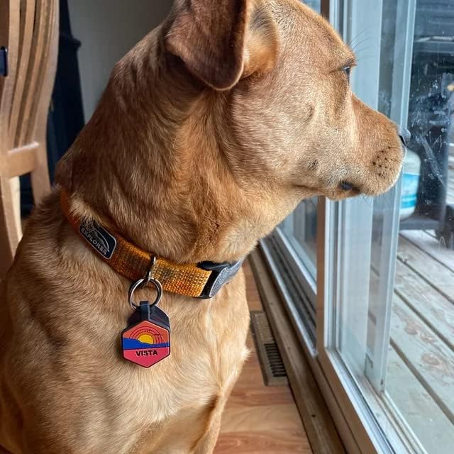 Silent Dog Tag Personalized with 5 Lines of Custom Deep Engraved Durable Soundless Silicone Pet ID Name Tag Round Sunset Orange