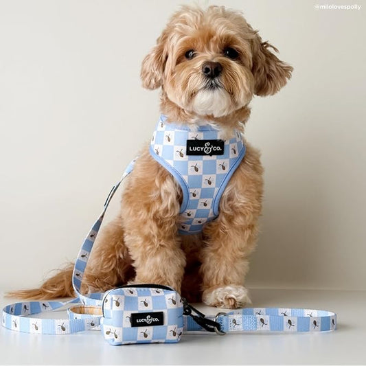 Lucy & Co. Bumbling Around Reversible Dog Harness, Adjustable Comfort Fit with Dual Leash Attachments, Large