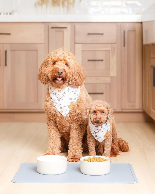 Remy+Roo Dusty Blue Silicone Dog Food Mat for Pet Bowl | 100% Waterproof | Non-Slip | Dishwasher Safe