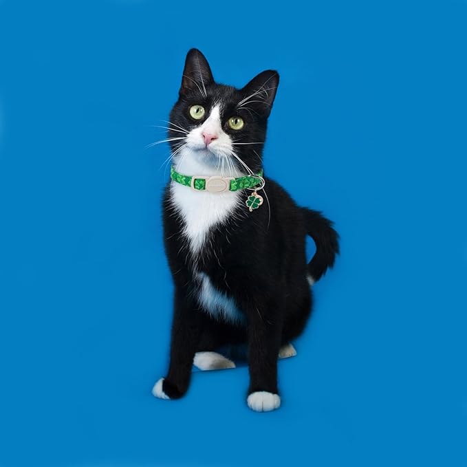 Cat Collar,2 Pack St.Patrick's Day Cat Collars Breakaway with Bell, DOGWONG Safety Buckle Cat Collar Green Trefoil Cat Collar for Girl Boy Cats,Adjustable 7-12 Inch