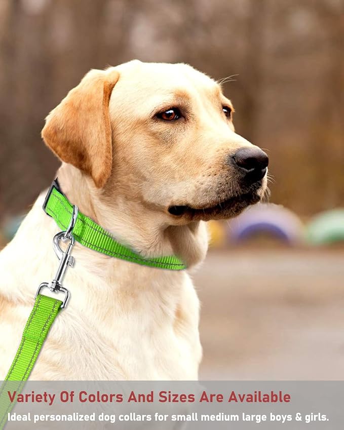 Reflective Dog Collar with Buckle Adjustable Safety Nylon Collars for Small Medium Large Dogs, Grass Green M