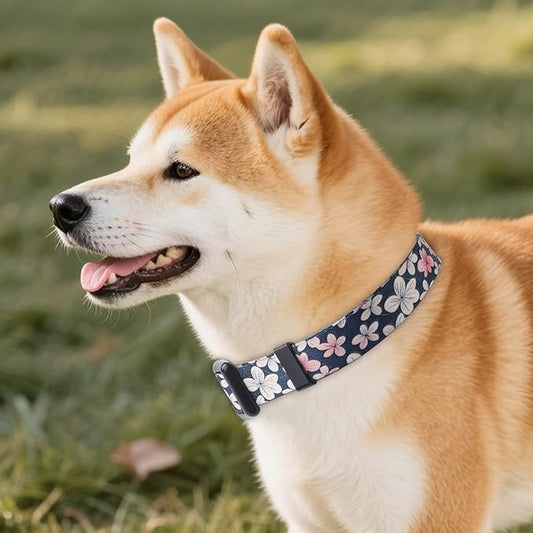 QQPETS Adjustable Soft Dog Collar: Print Flower Pink Multicolor Cute Patterns for XS Small Medium Large Pet Girl Boy Puppy Walking Running Training