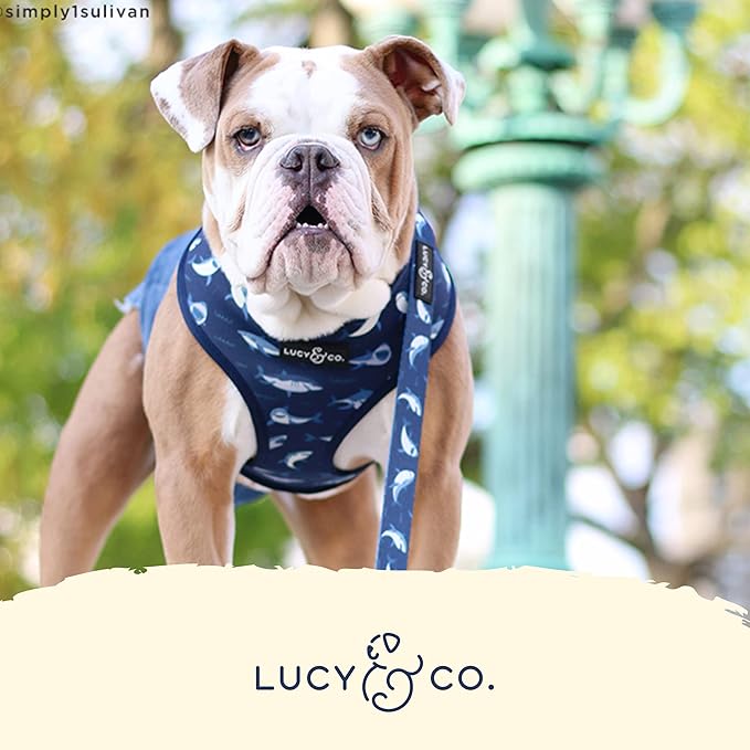 Reversible Dog Harness Walking Halter - Best Designer Pet Harnesses for Extra Small Medium Large XL Dogs Plus Pug Breeds - Padded Adjustable Puppy Vest for Easy Walking (Large, Shark Attack)