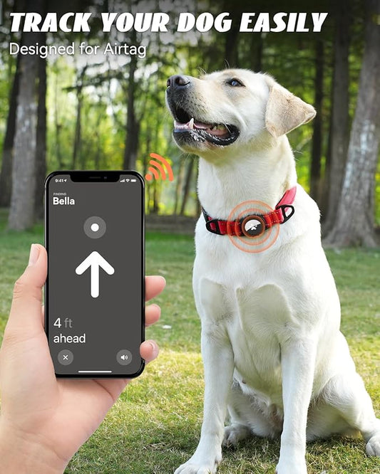 Joytale Airtag Dog Collar, Reflective Pet Collar with Waterproof AirTag Holder, Dual D-Rings, Soft Padded Adjustable for Medium Dogs, Adjustable Length 15"-20", Red, M