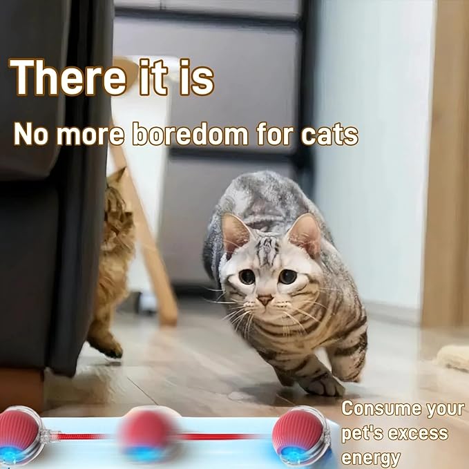Interactive Cat Toys for Indoor Cats, Agility Move Cat Balls,Motion Activated Cat Balls, Cat Toys for Bored Indoor Cats(Green)