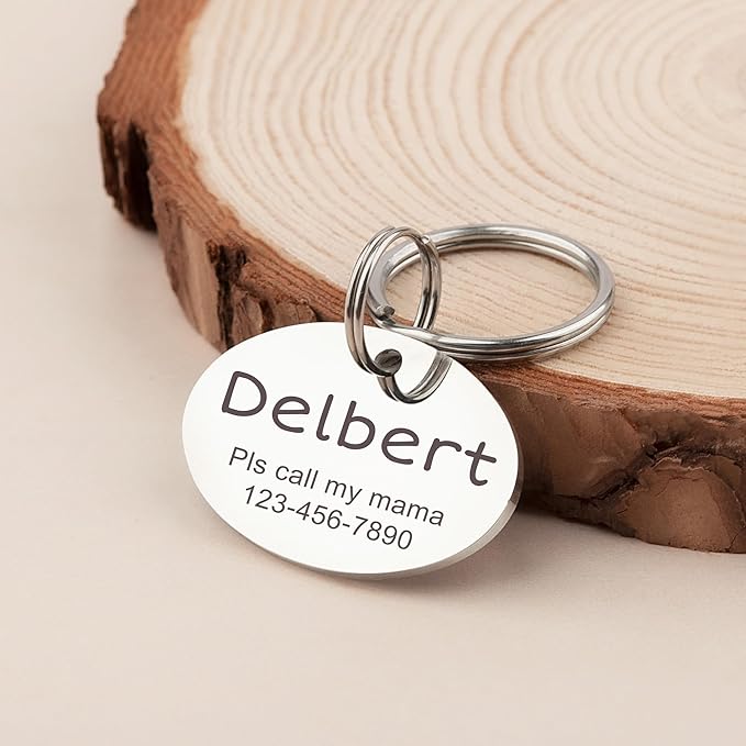 Anavia Personalized Pet ID Tags, Stainless Steel Glossy Laser Engraved Dog Cat Collar Name Tags, Multiple Colors Shapes Sizes (Oval, Small)