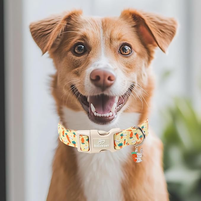 Easter Dog Collar for Small Dogs - Cute Carrot Bunny Easter Collars for Boy Girl Dogs, Lightweight Adjustable Yellow Cartoon Holiday Dog Collar S