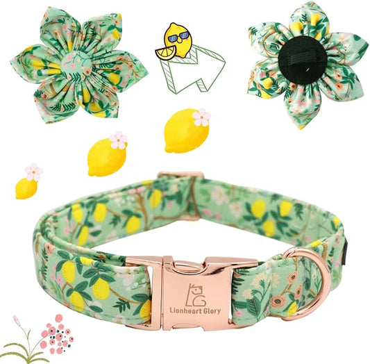 Lionheart Glory Cute Lemon Floral Pattern Adjustable Dog Collar for X-Large Dogs