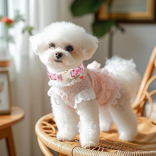 Strawberry Bow Dog Collar for Puppy Small Dogs - Cute Pink Spring/Summer Girl Dog Collars, Lightweight Adjustable Female Girly Dogs Collars with Quick Release Buckle XS