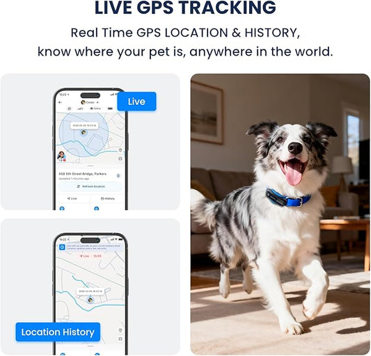 AI GPS Tracker for Dogs (40lbs+), Real Time Location and AI Vet Health Management, Electronic Fence, Waterproof, iOS and Android Universal(Black)