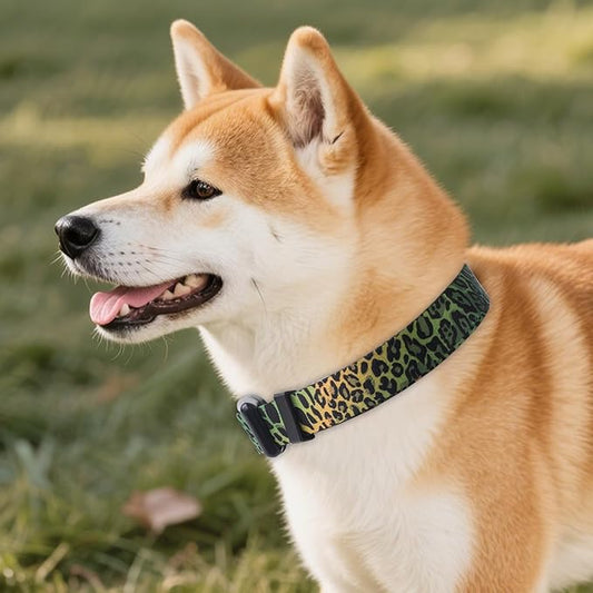 QQPETS Adjustable Soft Dog Collar: Print Flower Pink Multicolor Cute Patterns for XS Small Medium Large Pet Girl Boy Puppy Walking Running Training