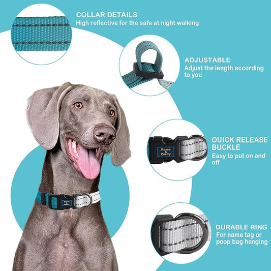 Roses&Poetry Small Dog Collar, Adjustable Personalized Durable Pet Collars for Small Medium Large Dogs (Teal-S)