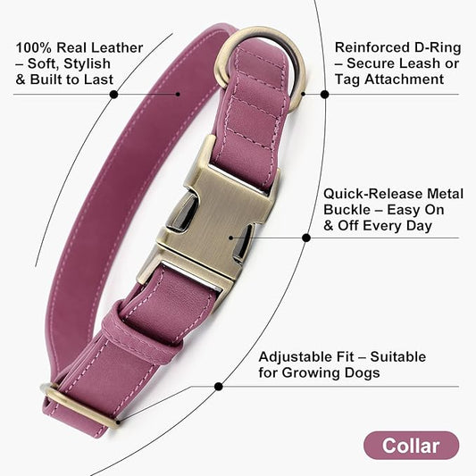 Plutus Pet Genuine Leather Dog Collar – Adjustable Pet Collar with Quick Release Metal Buckle, Soft Real Leather for Small Medium Large Dogs, Heavy Duty & Skin-Friendly (Purple, XS)