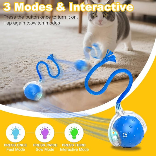 2-Pack Interactive Cat Toys Ball for indoor Cats&Dog,Automatic Cat Toy with Smart Obstacle Avoidance &Bird Chirps ,Includes 4 Cat Spiral Spring,Cat Enrichment Toys for Indoor Cats(Orange&Blue)