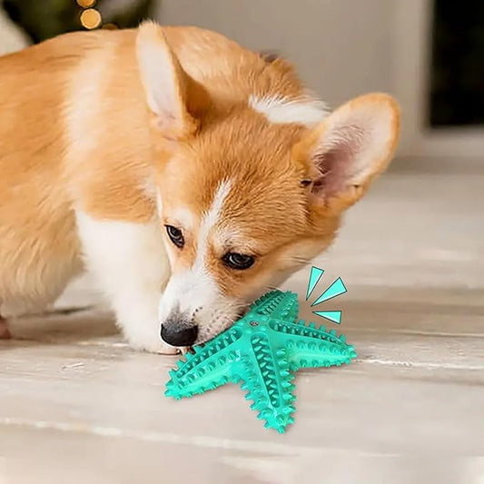 Chew Toy for Dog Toothbrush Stick Dog Toys for Aggressive Chewers Interactive Toys Treats Tough Toy to Keep Them Busy Chew Toys for Small Dogs (Star Toy - Blue)