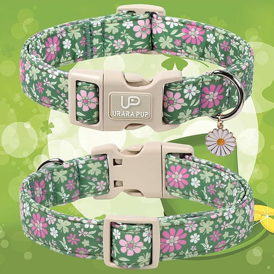 St. Patrick's Day Dog Collar, UP URARA PUP Shamrock Adjustable Pet Collar with Quick Release, St. Patrick's Day Dog Accessories for Small Medium Large Dogs