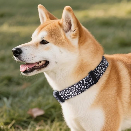 QQPETS Adjustable Soft Dog Collar: Print Flower Pink Multicolor Cute Patterns for XS Small Medium Large Pet Girl Boy Puppy Walking Running Training